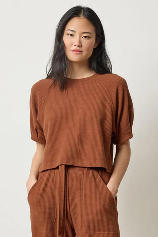 Pleated Sleeve Top, Praline