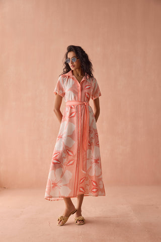 Amira Maxi, Alma Nectar