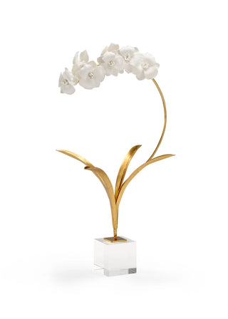 Small Orchid in Stand
