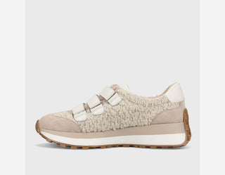 Quendra Sneaker, Bone Teddy