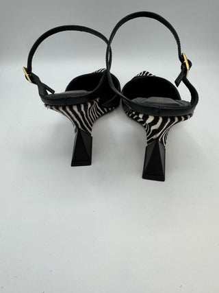 Paxt Heel, Zebra