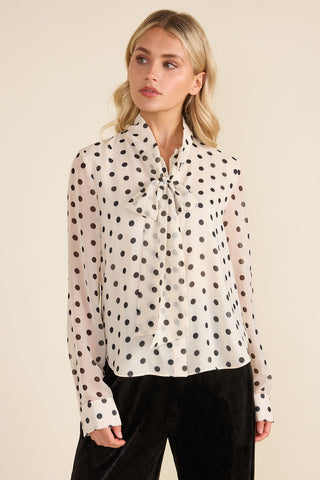Eugenie Top, Parisian Dot