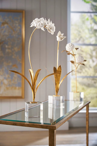 Tulip in Stand