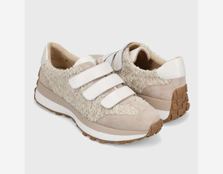 Quendra Sneaker, Bone Teddy
